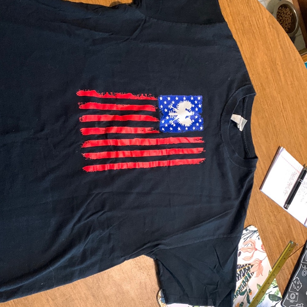 T shirt mens Polish Pride! Large Grand Rapids Pulaski Days love it!